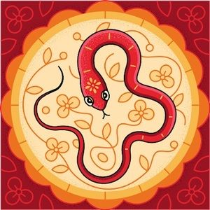 Meet your Posher, Ziqi